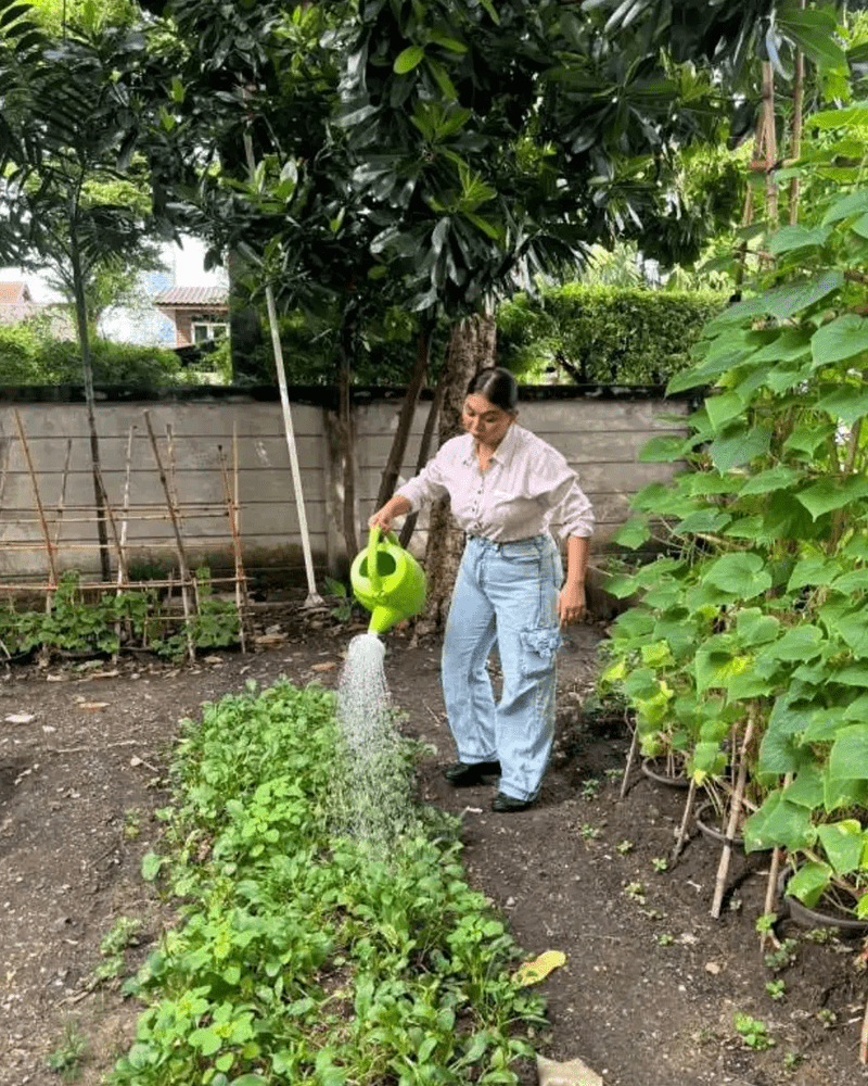 Refreshment Vegetable Garden