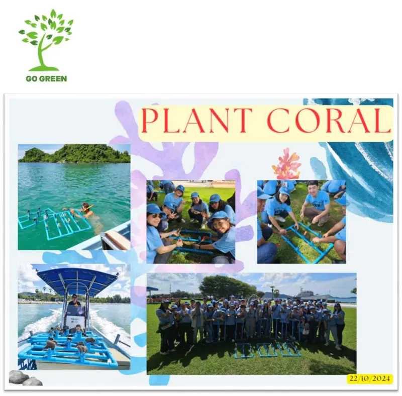 Plant Coral